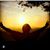 Maribel Sanchez's profile image