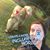 Laura Smith's profile image