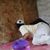 Moch Agung Zanetti's profile image