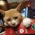 Pat Schmidth's profile image