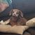 Lori Peterson's profile image