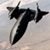 Ernesto B. Alvarez's profile image