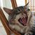 Jon Bovis's profile image