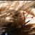 Maribel Perez's profile image