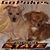 Angie Wieland Allen's profile image