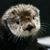 Fred Gilbreath's profile image