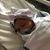 Amy Hartline's profile image