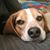 Maria L. Di Bisceglie's profile image
