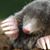 Anita Noel's profile image