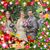 Jorge Garcia's profile image