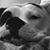 Serena Davis Chessher's profile image