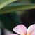 Risa R. DeShields's profile image