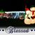 Sandy Reister's profile image