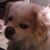 Corrine Lindsey's profile image