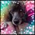 Trisha Urvan's profile image