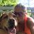 Angie Simeon Bell's profile image