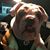 Tracy Tufo's profile image