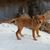 Susan Guetschow's profile image
