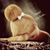 Renee Fox's profile image