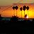 Nancy Crellin's profile image
