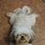 Dianna Ensminger's profile image