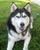 Sharon G.'s profile image