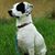 Amy Miller's profile image