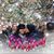 Jocelyn Yanez's profile image