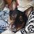 Madison Engman's profile image