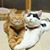 Kimberly Stallings's profile image