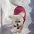 Brian Sahm's profile image