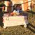 Victoria Womack's profile image