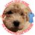 Christina Sheffer's profile image