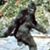 Stuart Talbot's profile image
