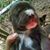 Angela D Shreve's profile image