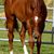 Lynn Clark's profile image