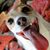 Teresa Motley's profile image