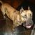 Vicki Franks's profile image