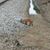 Tina Herrmann-Mehl's profile image