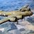 John H. Melton's profile image