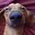 Ania Supady's profile image