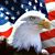 Pat Ledwith's profile image