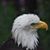 Joanne Ryan Burk's profile image