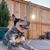 Ralph Mitchell's profile image