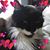 Kathy Botts's profile image