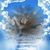 Gina Becker's profile image