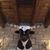 Kathleen Tyler Herndon's profile image