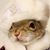 Sallie Greenstar's profile image