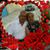 Luminosa Munguia's profile image