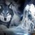 Shawna Macauley's profile image